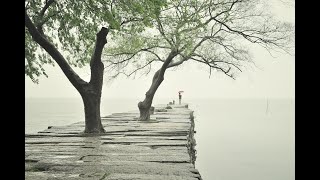 Como RELAXAR Eliminar a INSÔNIA Com sons naturais e músicas apropriadas [upl. by Nipahc]