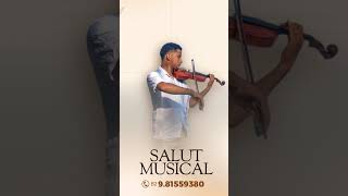 Escolhi te esperar Solo de Violino [upl. by Eetnom]