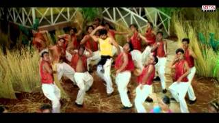 Bhadra Video Songs  Erra Koke Song  Ravi tejaMeera jasmine [upl. by Detta]