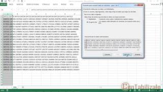 Separar Textos En Distintas Columnas de Excel [upl. by Vargas838]