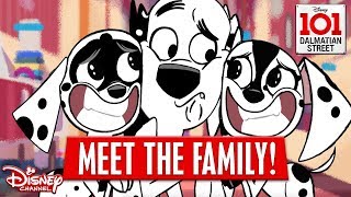 MEET THE FAMILY  101 Dalmatian Street  Disney Channel Africa [upl. by Solorac]