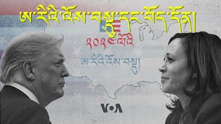 US Elections and its implication for Tibet [upl. by Hsoj9]