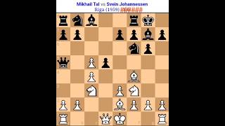 Mikhail Tal Vs Svein Tal chess game Tal amazing secrfice Tal best games Tal besttal chess [upl. by Donoghue]