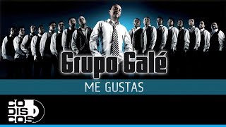 Me Gustas Grupo Galé  Audio [upl. by Zerla]