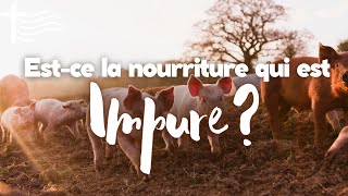 Parole et Évangile du jour  Mercredi 7 février • Questce qui est impur [upl. by Irihs151]