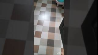 How to Keep Bathroom Floor Dry shortsfeed cleaning [upl. by Elon]