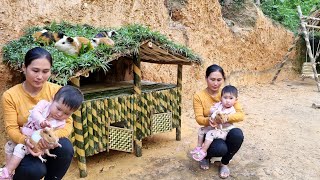 How to build a house for guinea pigs  Harvesting Amomum fruit to sell [upl. by Diba]