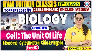 Class 11 Biology Chapter 8 Cell  The Unit Of Life  Ribosome Cytoskeleton Cilia amp Flagella [upl. by Laroy]