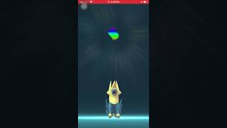 Mega Evolving Manectric In Pokemon Go [upl. by Leseil]