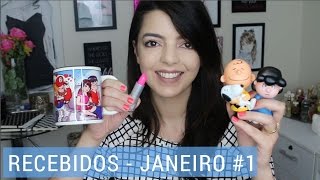 Produtos Recebidos  Janeiro 1  Lia Camargo [upl. by Aroled]