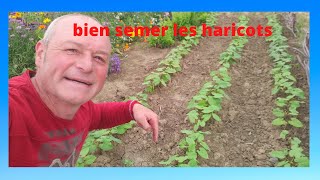 bien semer les haricots [upl. by Yr]