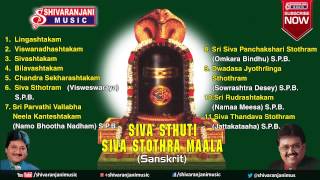 Siva Stuthi  Lord Shiva Devotional Songs  SPBalasubramanyam Songs Mano Songs [upl. by Aleedis]