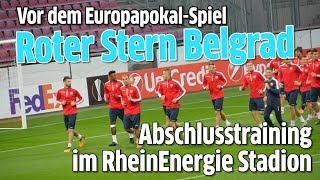 Europapokal Abschlusstraining von Roter Stern Belgrad im RheinEnergie Stadion [upl. by Birdella]