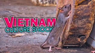 This Happened on a Local Market in Vietnam  Culture Shock in Vietnam [upl. by Nelsen475]