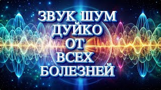 Шум от всех болезней от Дуйко [upl. by Zeret]