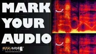 Audio Watermarking in Adobe Audition Watermark Your Audio [upl. by Inahpit]