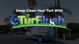 Introducing TurFlush The Ultimate Deep Cleaning for Your Artificial Turf  TurFresh [upl. by Pollak]