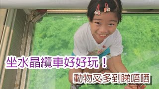 Heileys Vlog 20  台北親子遊 Part 3 木柵動物園  貓空纜車  貓空茶屋  饒河街夜市 [upl. by Ellehsem]