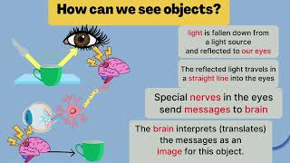 Concept 3 part 2 primary 4 light reactiontypes of materials how we seehumans ampanimals communicate [upl. by Machutte]