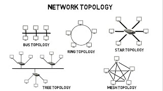 NETWORK TOPOLOGY IN COMPUTER NETWORKS IN HINDI [upl. by Eilraep199]