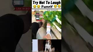 Breezer video viral sorts pyaar happy 👶 💕 [upl. by Acimad]