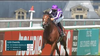 St Marks Basilica is a superstar and wins the Prix du Jockey Club 🚀 [upl. by Royo]