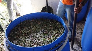 Almacenamiento y manejo de ensilajes a campo abierto  La Finca de Hoy [upl. by Vardon]