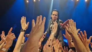 Nick Cave and The Bad Seeds  White Elephant amp Papa Wont Leave You Henry live  Arena Zagreb 2024 [upl. by Leba]