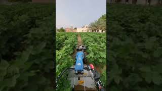 BCS power widder made in Italy farming farmer trending jaat prernaorganicfarms [upl. by Ynafetse383]