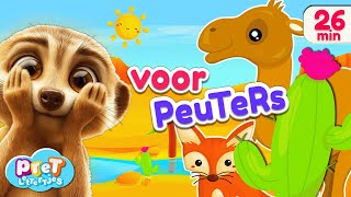 Dierengeluiden Voertuigen amp Woordjes Leren met Pretlettertjes  Voor Peuters [upl. by Caruso636]