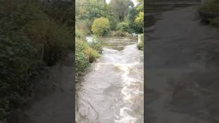 Iffley lock after heavy rain waterfall rain river nature riverthames iffleylock [upl. by Airekahs]