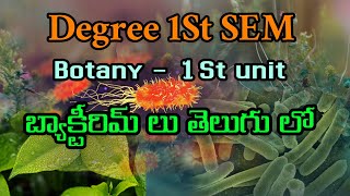 Bsc 1st SEM Botany bacteria lesson in Telugu  part1 [upl. by Gerome606]