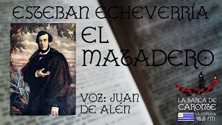 EL MATADERO Esteban Echeverría  AUDIOLIBRO  VOZ HUMANA [upl. by Boeke]