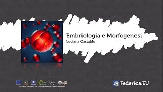 Embriologia e Morfogenesi  Presentazione del corso [upl. by Bullough951]