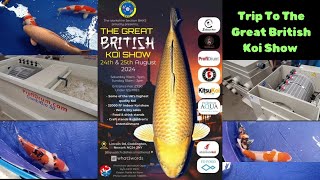 Trip To The Great British koi Show 2024 Koi Appreciation [upl. by Annovy]