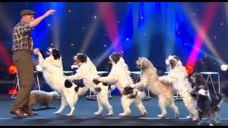 Wolfgang Lauenburger  Dressage de Chiens  Le Plus Grand Cabaret Du Monde [upl. by Aisined780]