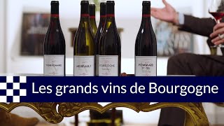 Les vins de Bourgogne un trésor national [upl. by Aiek380]