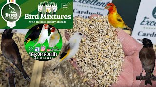 Il nuovo mix di semi Top Carduelis Gold  Excellent Bird Supreme Vanrobaeys 🇧🇪 [upl. by Ived]