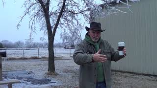 Crazy Horse Story 11 Mr T Pushes A Coyote Away  2018 Texas Ice Storm [upl. by Hyo]