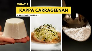 Kappa Carrageenan 101 Mastering the Culinary Power of this Seaweed Gel [upl. by Monda]