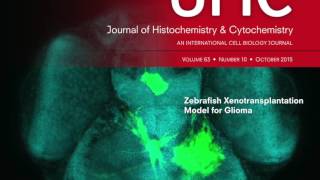 Journal of Histochemistry amp Cytochemistry slideshow [upl. by Oag]