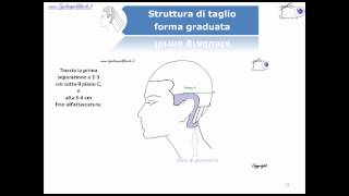 Corsi professionali  manuale del taglio graduato [upl. by Basia]