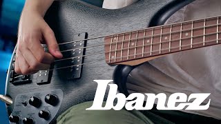 Does this Ibanez Bass Djent SR300EBWK  Metal  Tone Test [upl. by Hermosa470]