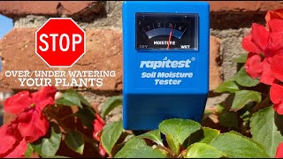 Rapitest Soil Moisture Tester Does It Work 💦🌱 [upl. by Reginnej]