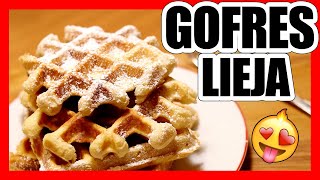 😍 GOFRES Belgas Caseros  WAFFLES Fáciles y Riquísimos [upl. by Fin]