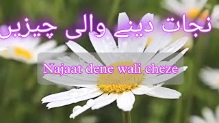 Najaat dene wali cheze [upl. by Aela]