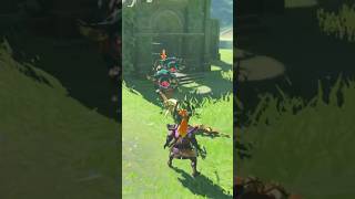 2 in 1 Flurry Rush The Legend of Zelda Breath of the Wild [upl. by Yrod116]