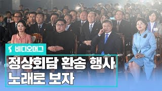 노래로 보는 남북정상회담 환송공연두 손 꼭잡은 남북비디오머그 [upl. by Ikey]