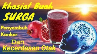 KHASIAT BUAH DELIMA [upl. by Jeffery]