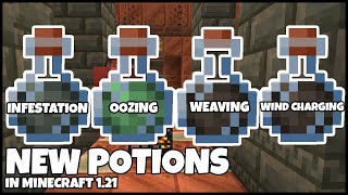 NEW POTIONS In MINECRAFT 121 Explained [upl. by Issej]